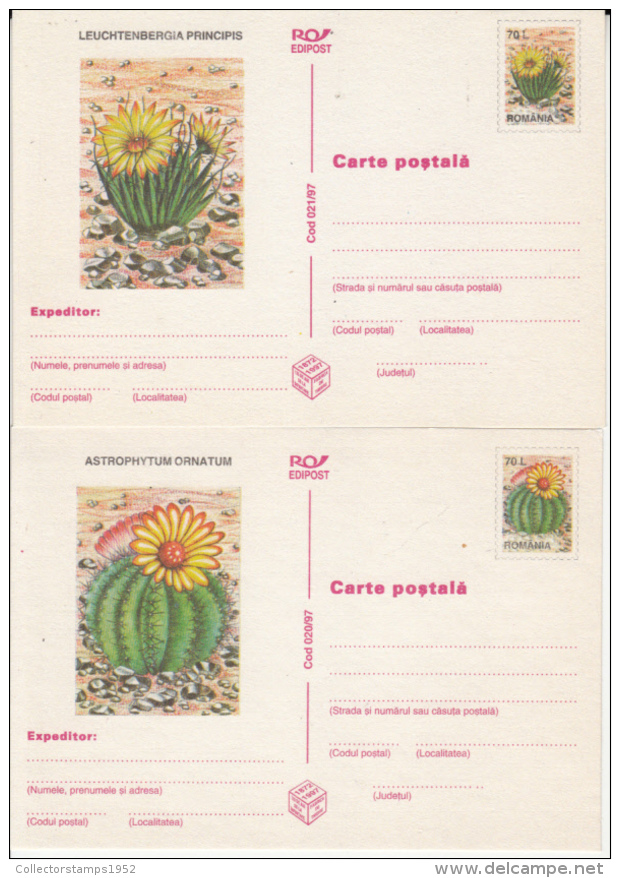 42434- CACTUSSES, POSTCARD STATIONERY, 6X, 1997, ROMANIA - Sukkulenten