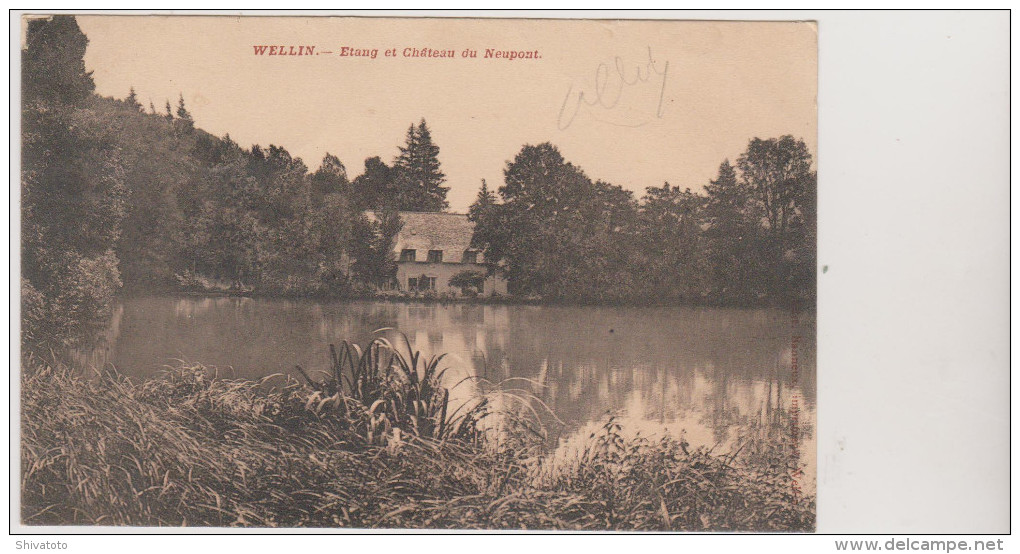 (4268D) Wellin Etang Et Chateau Du Neupont - Wellin