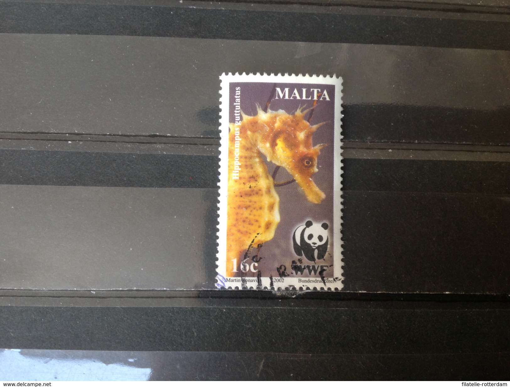 Malta / Malte - WWF, Zeepaardjes (16) 2002 - Malta