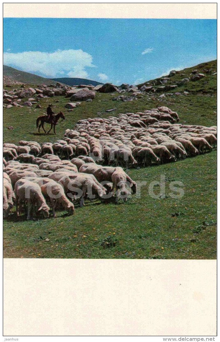 Jailoo - Sheep - Horse - Shepherd - 1974 - Kyrgyzstan USSR - Unused - Kirguistán