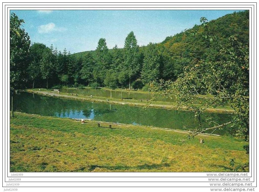 PETIGNY ..-- COUVIN ..-- Etang De Pêche Du Vivier . - Couvin