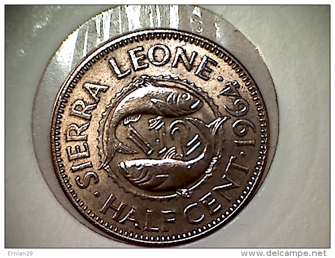 Sierra Leone 1/2 Cent 1964 TTB - UNC - Sierra Leone