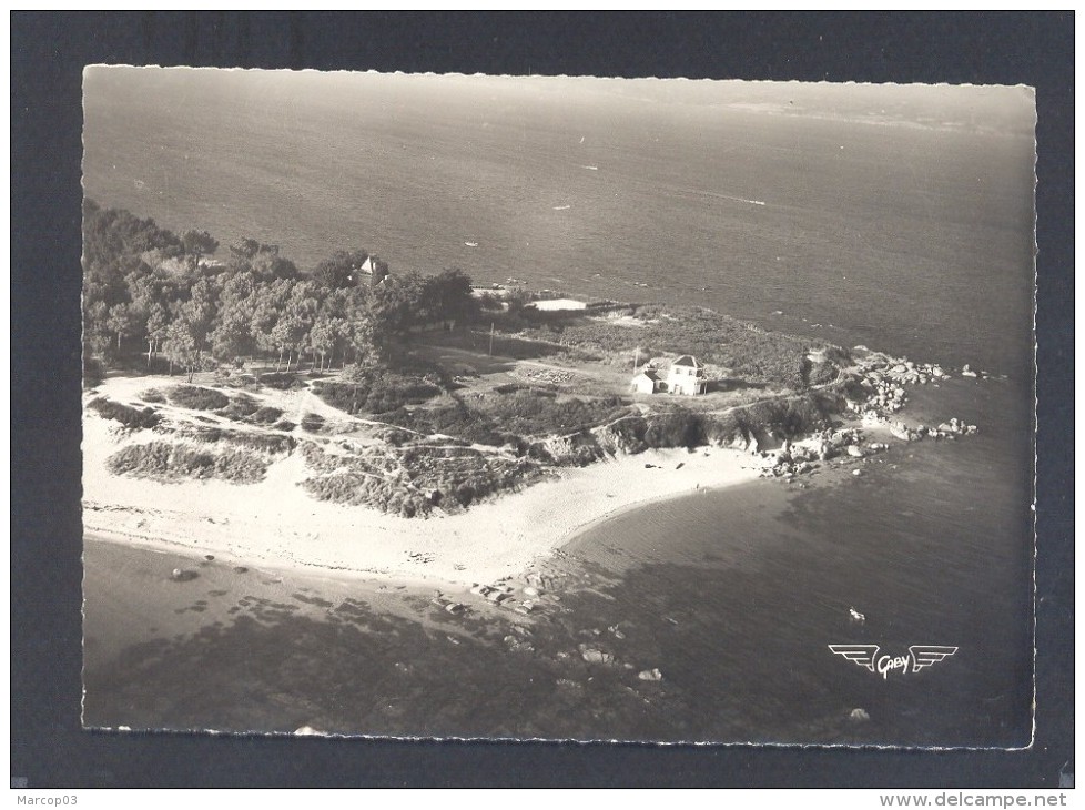 FINISTERE 29 LA FRANCE VUE DU CIEL BEG MEIL Pointe Du Sémaphore - Ile De Sein