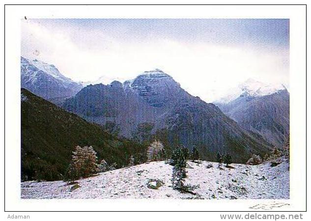 PHOTOGRAPHIE       H47      Nicolas Fournier      La Première Neige Au Col De La Cayolle - Altri & Non Classificati