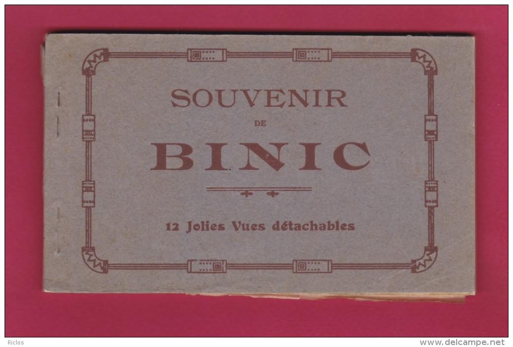 22 - BINIC - SOUVENIR DE BINIC - 12 Vues Détachables - Binic