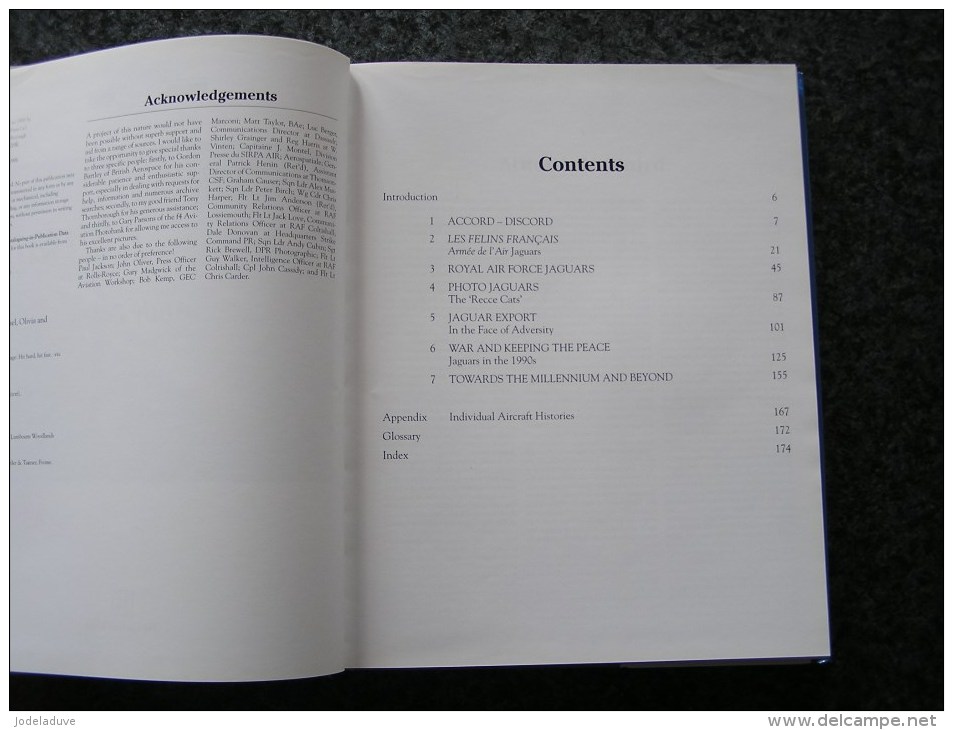 SEPECAT JAGUAR Andy Evans 1998 Aircraft Aviation Avion RAF Armée De L´Air France Great Britain Squadron - Transports