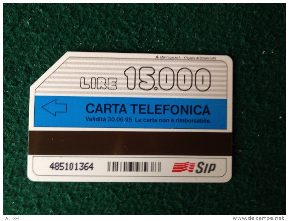 Scheda Telefonica  Catalogo Golden Nr 272 Carte Di Credito Da 15000  SIP - Openbaar Getekend