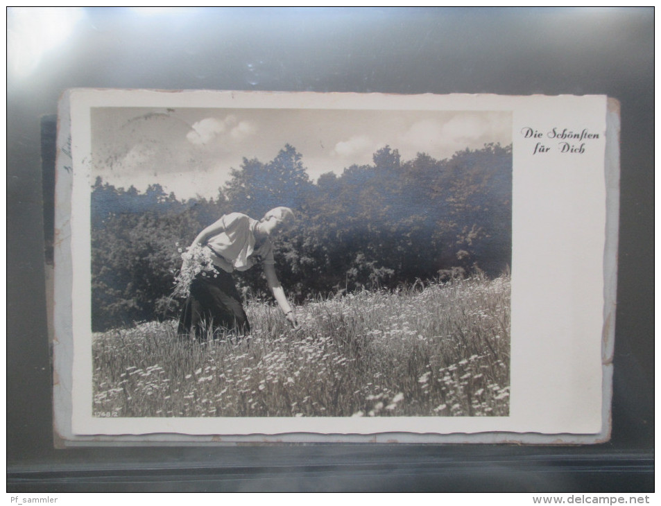 AK Sammlung Deutschland / Europa 1879 - 1930er Jahre. 68 Stück im neuwertigen Leuchtturm Album mit Schuber!