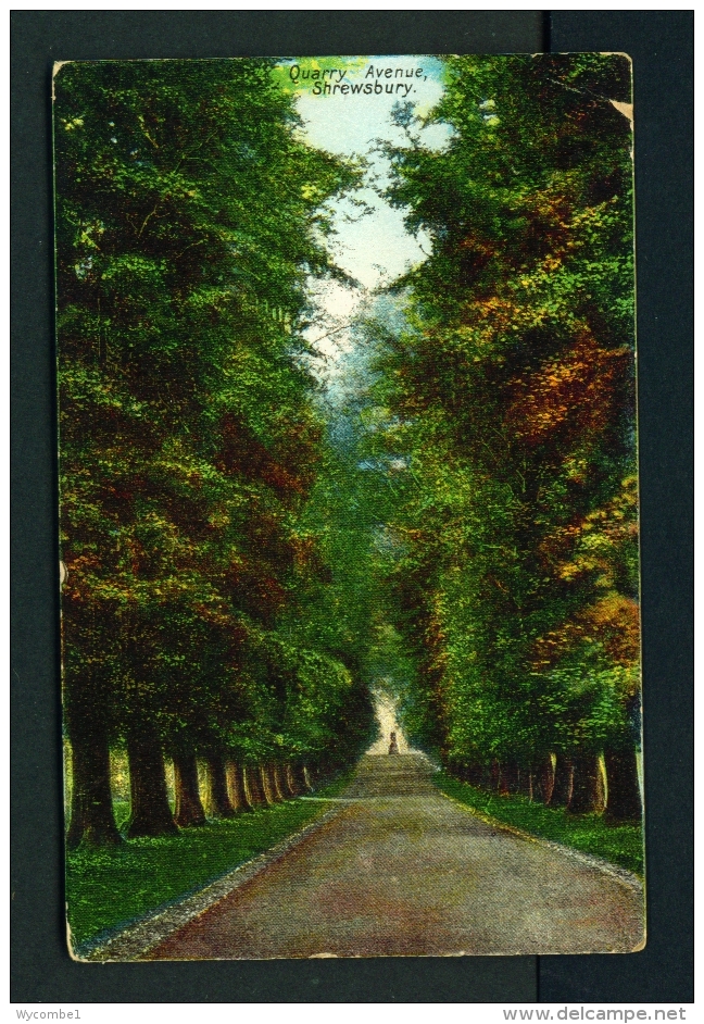 ENGLAND  -  Shrewsbury  Quarry Avenue  Used Vintage Postcard As Scans - Shropshire