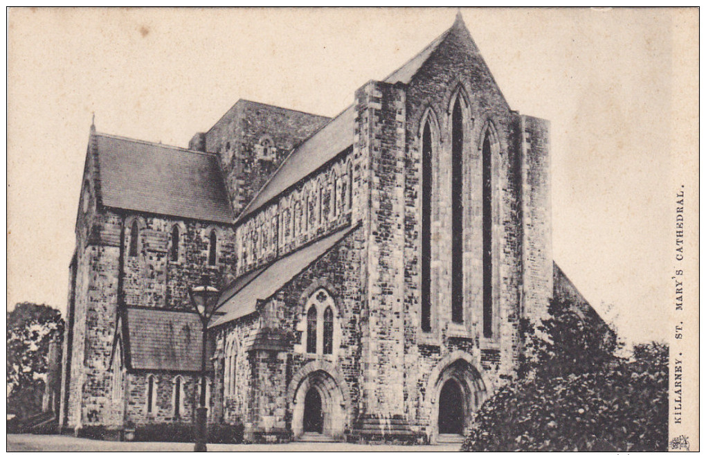 KILLARNEY, Ireland, 1900-1910's; St. Mary's Cathedral - Other & Unclassified