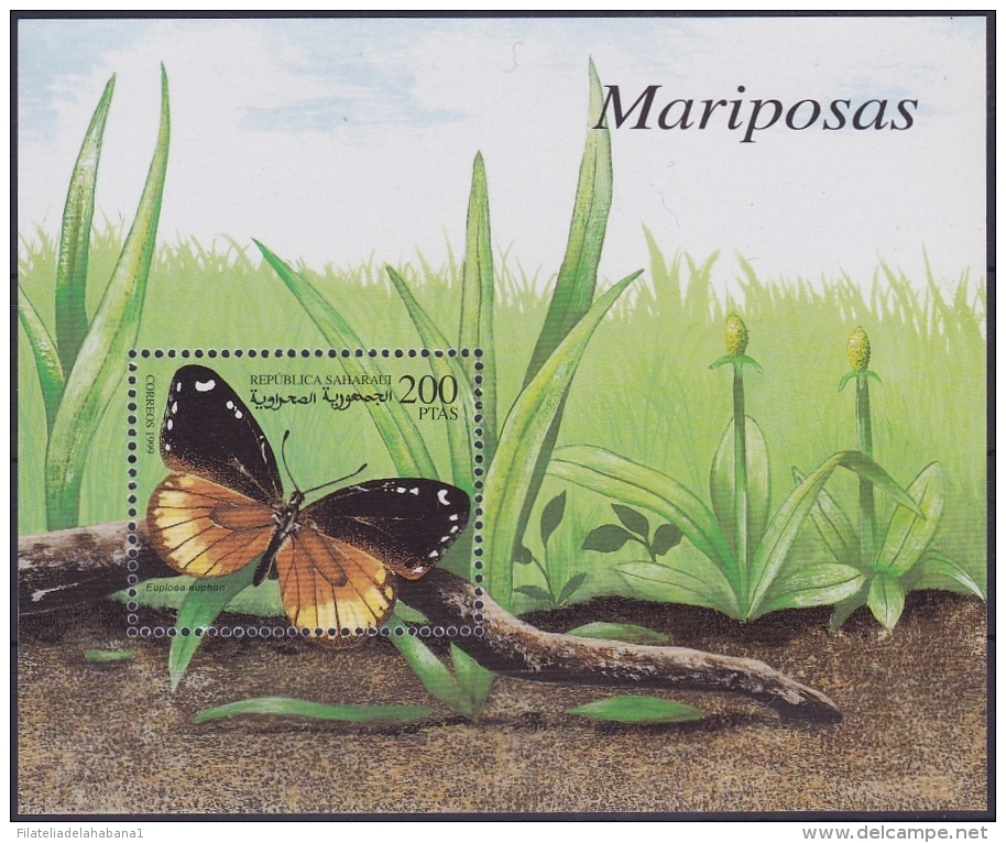 F-EX.2016 SAHARA MNH 1999 HF. BUTTERFLIES. MARIPOSAS. - Fantasie Vignetten