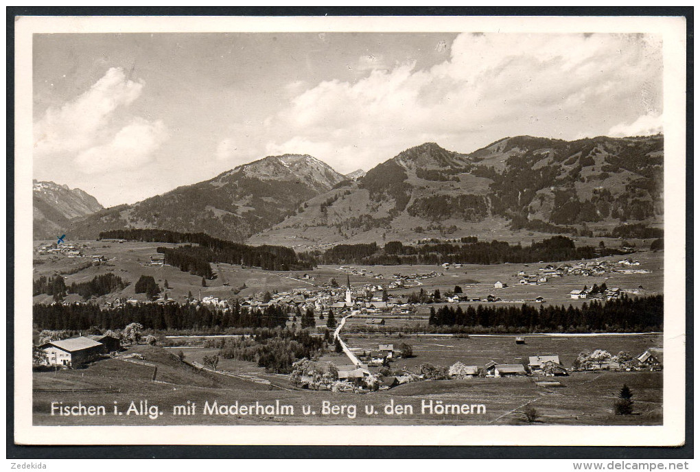 2613 - Alte Foto Ansichtskarte - Fischen Mit Marderalm Gel 1954 Sonderstempel - Fischen