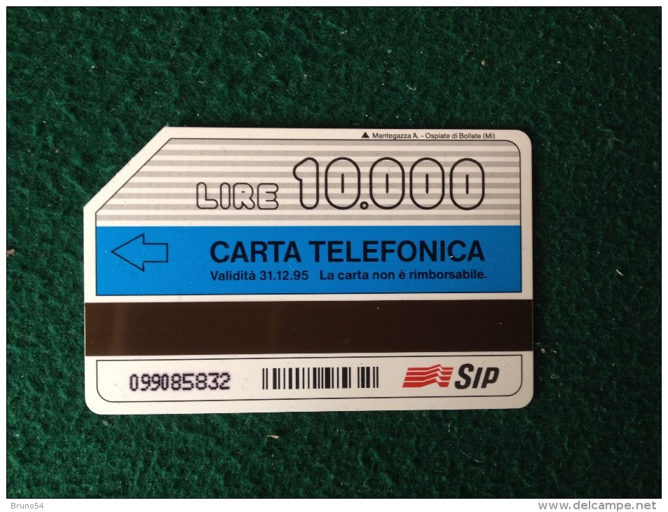 Scheda Telefonica Catalogo Golden Nr 289 Dizionario Simone Da 10000    SIP - Publiques Figurées Ordinaires