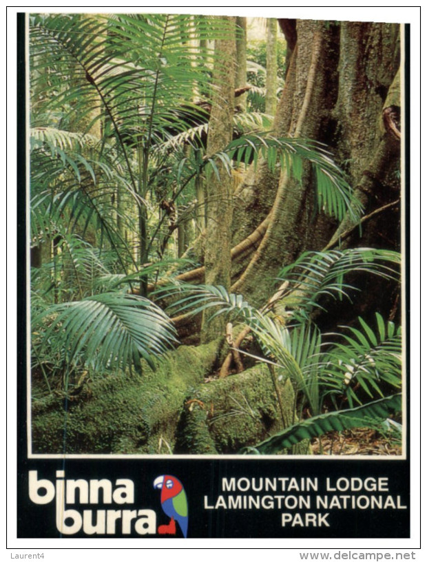 (679) Australia - QLD - Binna Burra NP - Atherton Tablelands