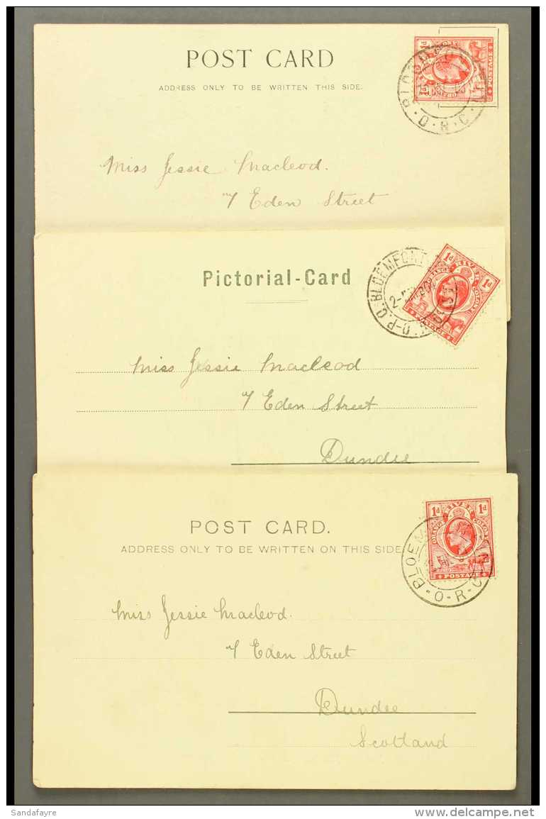 ORC 1903 3 Ppc's To Scotland, 1d's Tied B'fontein. For More Images, Please Visit... - Non Classificati
