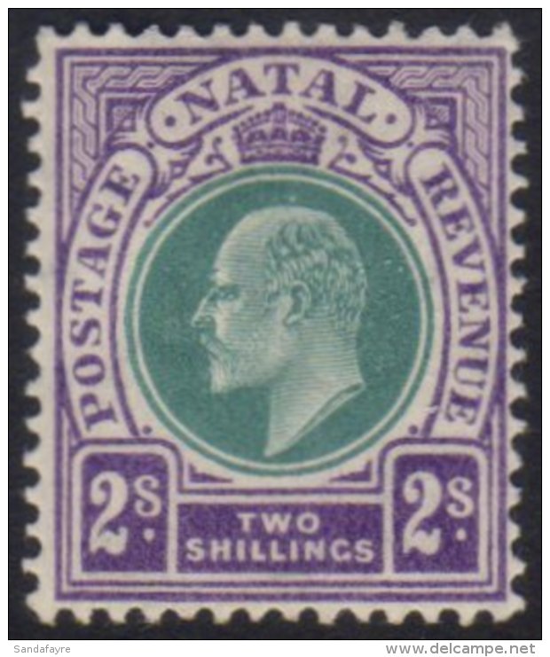 NATAL 1904-08 2s Dull Green And Bright Violet SG 156, Fine Mint.  For More Images, Please Visit... - Non Classificati