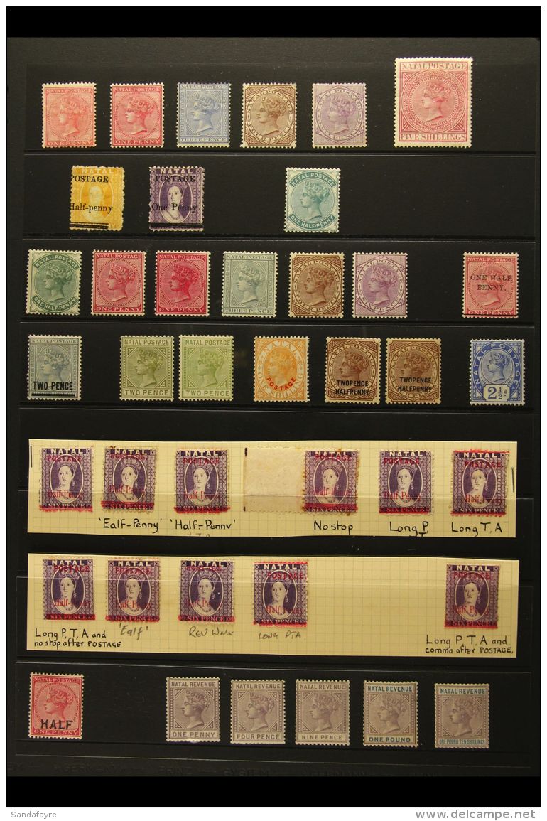 NATAL 1874-95 ALL DIFFERENT MINT QV COLLECTION. An Interesting Range With Varieties &amp; Revenues, Presented On A... - Non Classificati