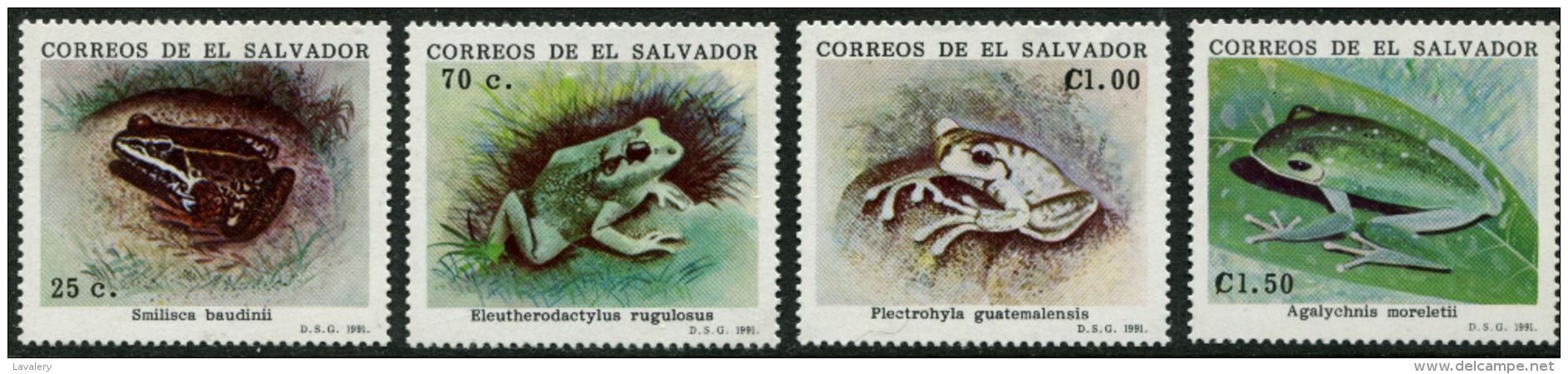 EL SALVADOR 1991 Frogs MNH - Rane