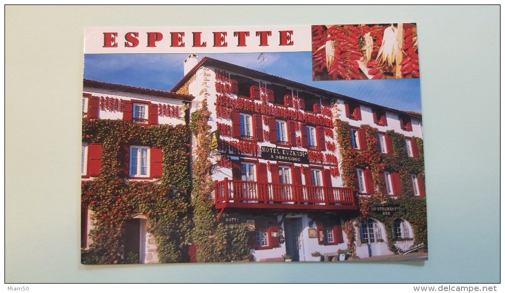 ESPELETTE    HOTEL EUZKADI    DEPT 64 PYRENEES-ATLANTIQUES - Espelette