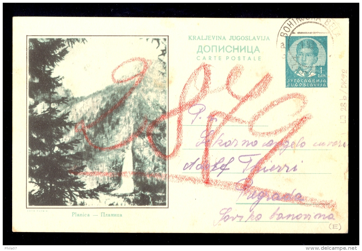 Illustrated Stationery - Image Planica / Statioenry Circulated, 2 Scans - Other & Unclassified