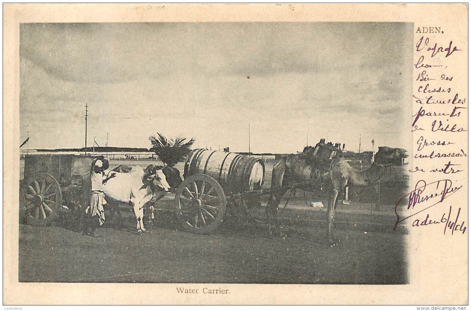 YEMEN ADEN WATER CARRIER - Yémen