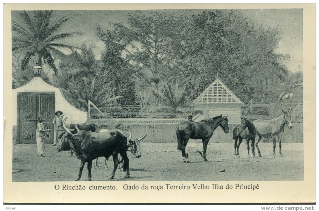 SAO TOME ET PRINCIPE - Sao Tome Et Principe