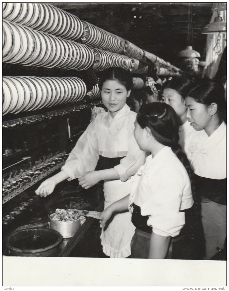 North Korea - Pyong Yang - Pyongyang - Phenian - Communist Propaganda - Photo 120x95mm - Corée Du Nord