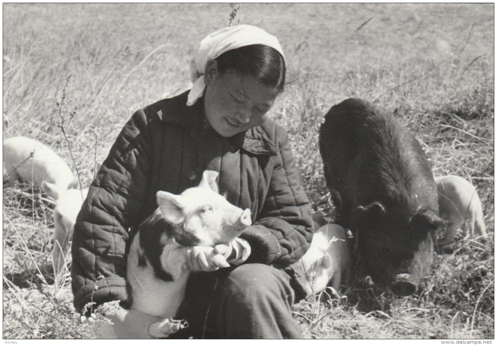 North Korea - Pyong Yang - Pyongyang - Phenian - Communist Propaganda - Photo 150x100mm - Corée Du Nord