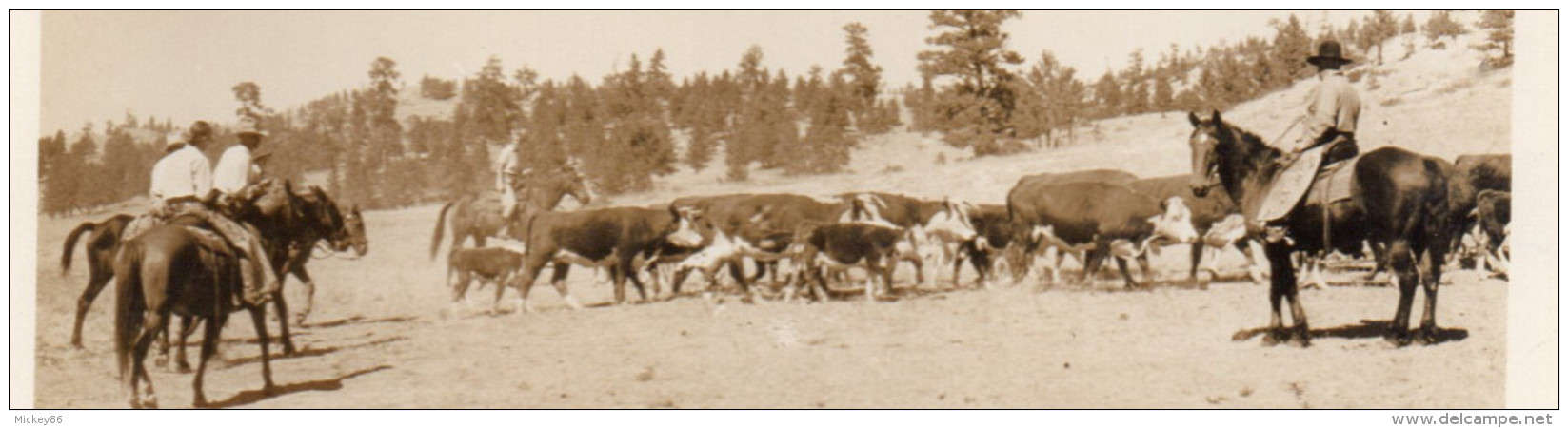 USA--Wyoming--TEPEE LODGE--Big Horn (très Animée,ranch Avec Vaches, Chevaux Et Cowboys)  14 X 9   éd  ???---Belle Carte - Autres & Non Classés