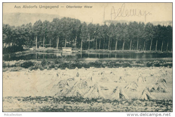 DE ALSDORF / Aus Alsdorf Umgegend, Ottenfelder Weier / - Alsdorf