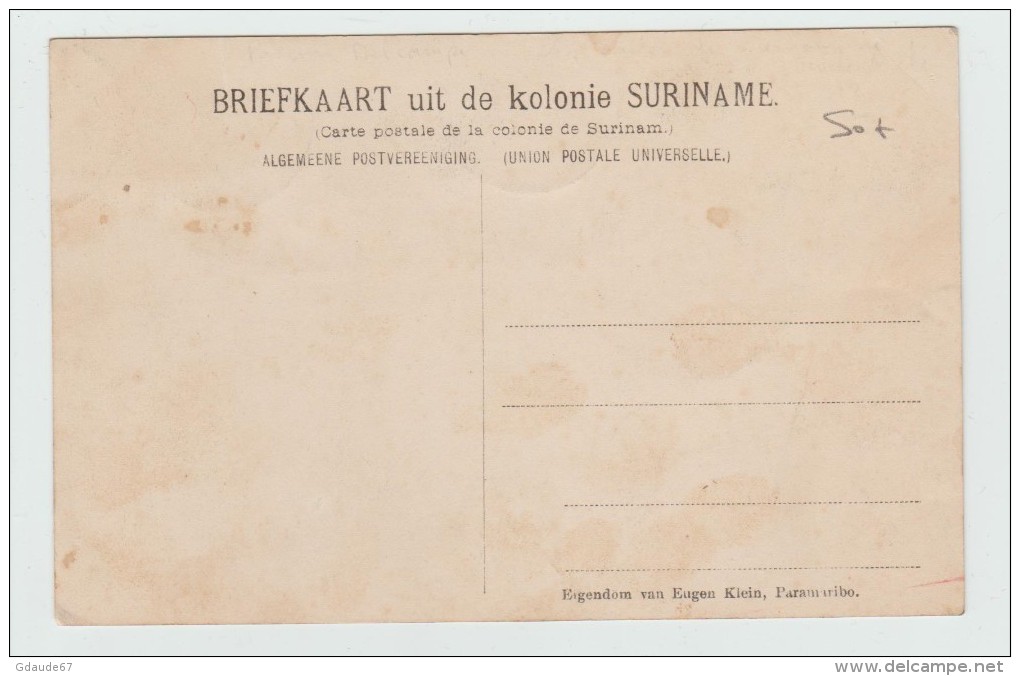 SURINAM - LE GENERAL DES BOSCHNEGERS ET SON ETAT MAJOR - Suriname