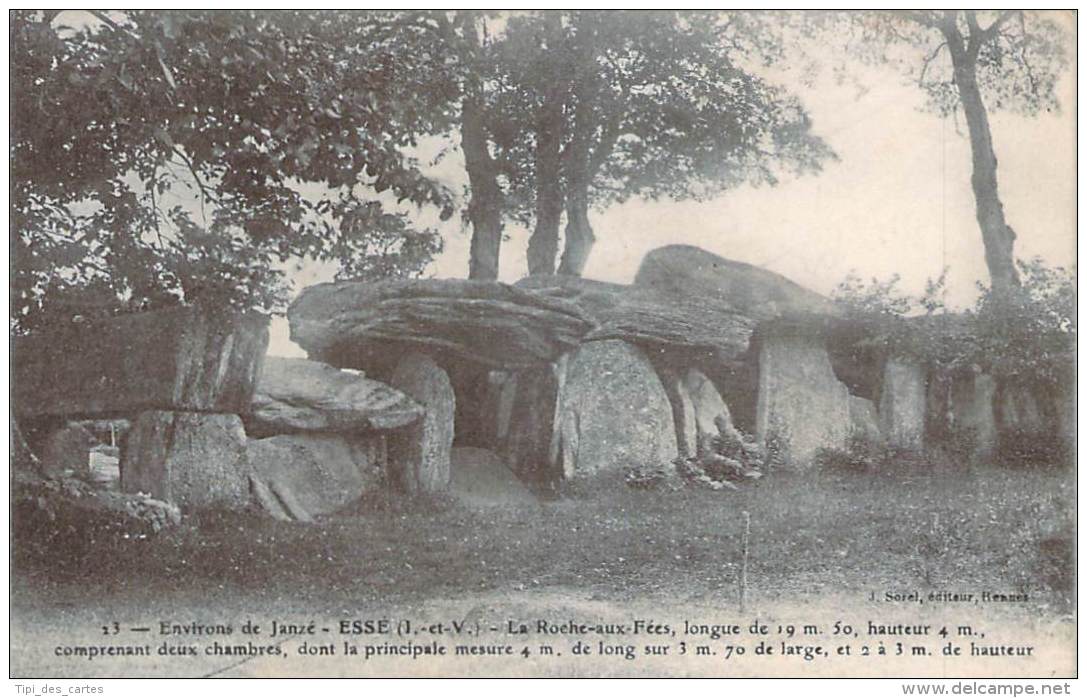 35 - Environs De Janzé, Essé - La Roche-aux-Fées - Dolmen & Menhirs