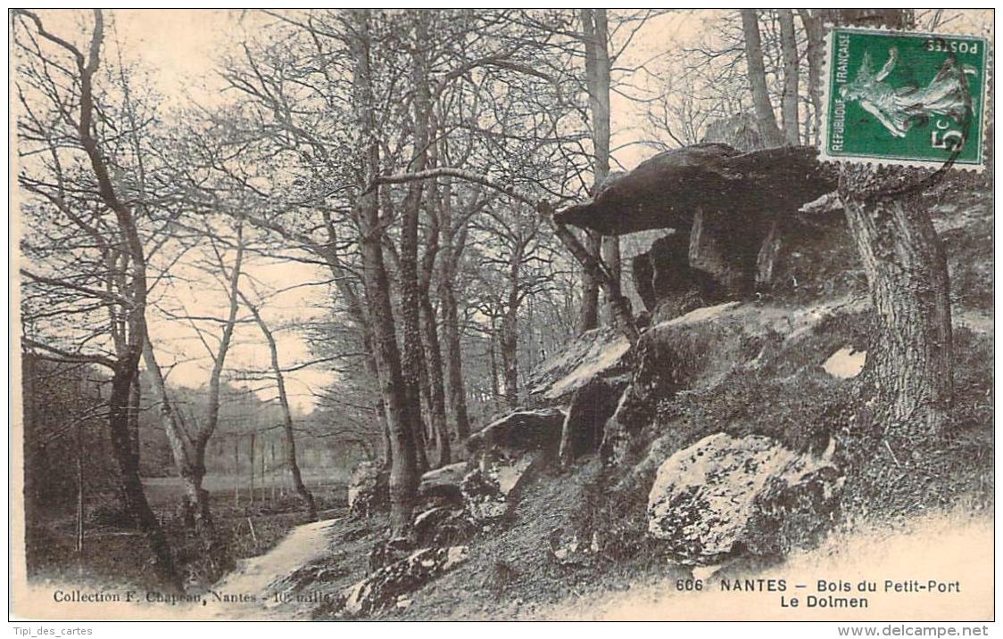 44 - Nantes - Bois Du Petit-Port, Le Dolmen - Dolmen & Menhirs