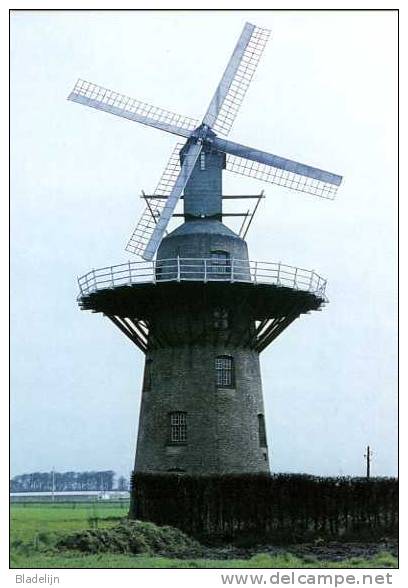 GISTEL (W.Vl.) - Molen/moulin/mill - Historische Opname Van De Merelaan, Een Uitzonderlijke Molentype In 1961. - Gistel