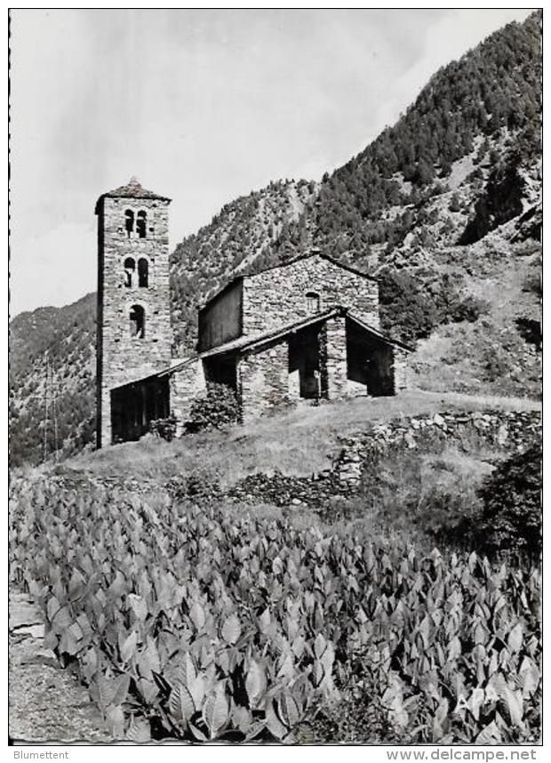 CPSM Andorre Andorra Non Circule 10 X 15 Plantation De Tabac - Andorre