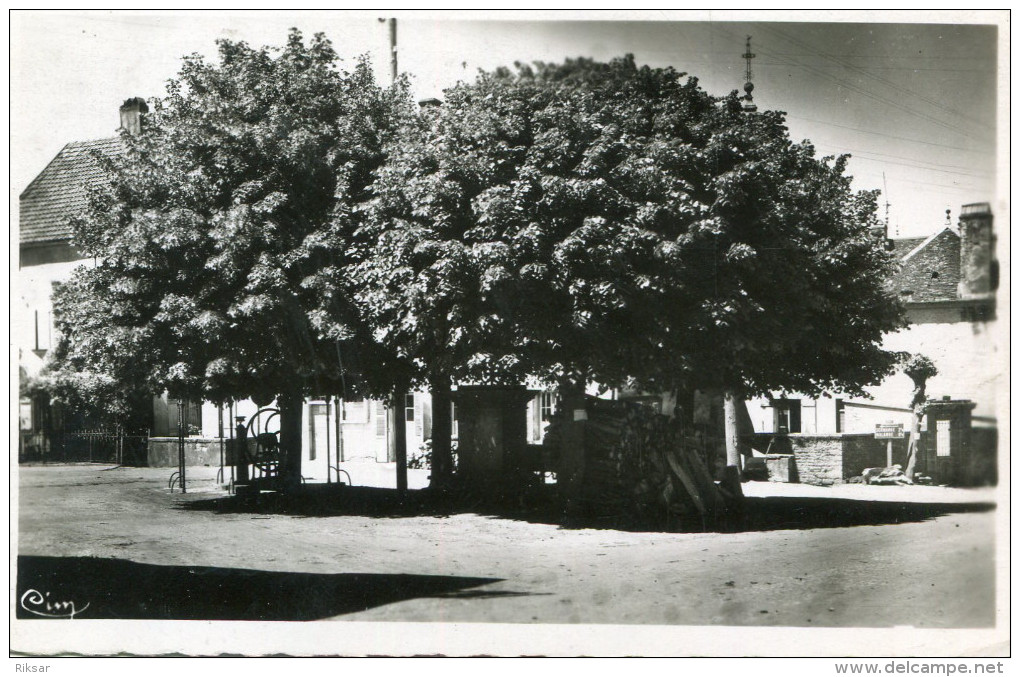 GENDREY(JURA) ARBRE - Gendrey