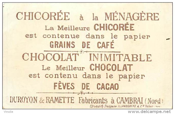 AM V 16 396 : CHOCOLAT DUROYON ET RAMETTE  CAMBRAI  LA CHASSE AUX PAPILLONS - Duroyon & Ramette