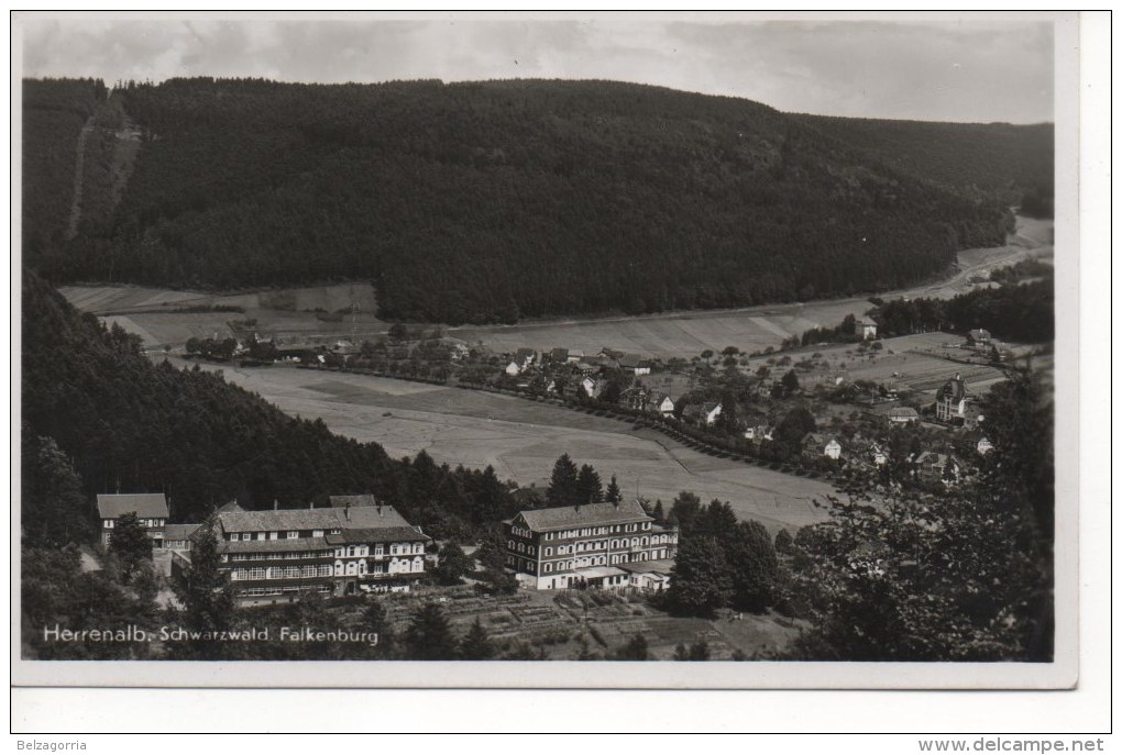 HERRENALB, Schwarzwald -   Falkenburg - Bad Herrenalb