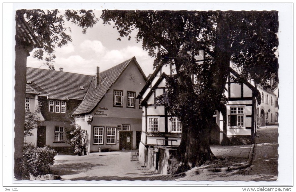 4542 TECKLENBURG, Marktlinde - Steinfurt