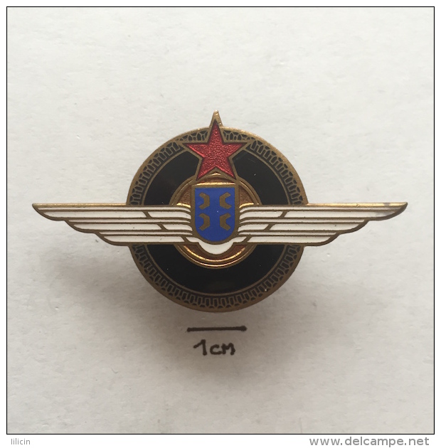 Badge / Pin ZN001636 - Truck (Lastkraftwagen) Automobile (Car) Udruzenje Sofera Pancevo - Trasporti