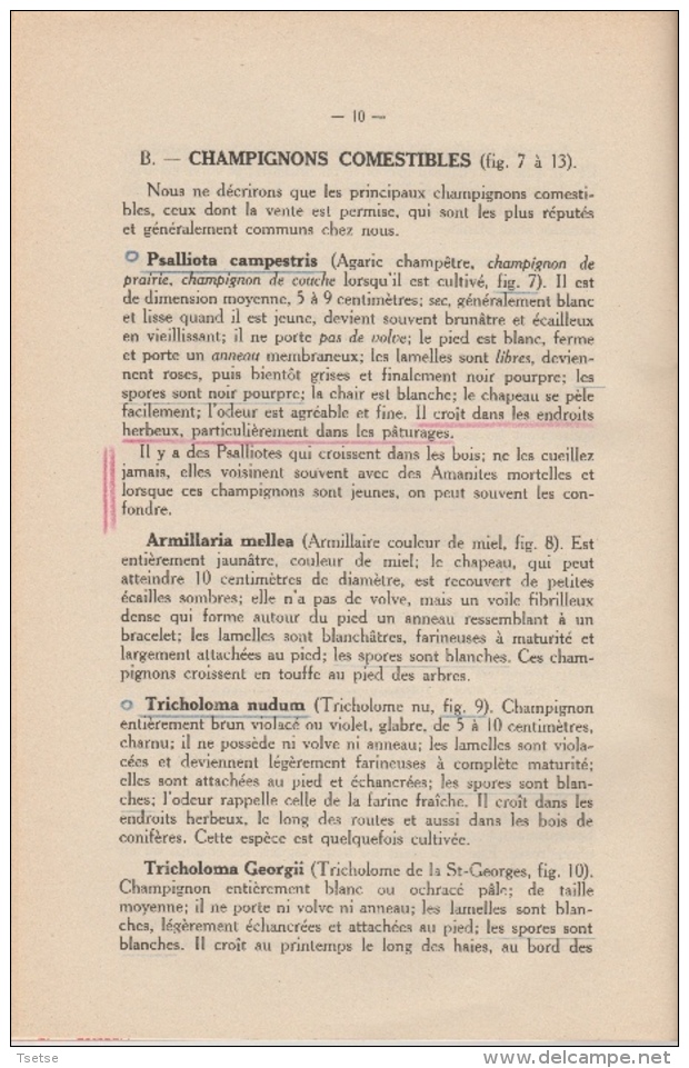 Comment Reconnaitre Les Champignons Vénéneux Et Comestibles - Ministère De L'Intérieur 1943 - Chasse/Pêche