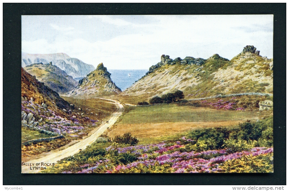 ENGLAND  -  Lynton  Valley Of Rocks  Unused Vintage Postcard - Lynmouth & Lynton