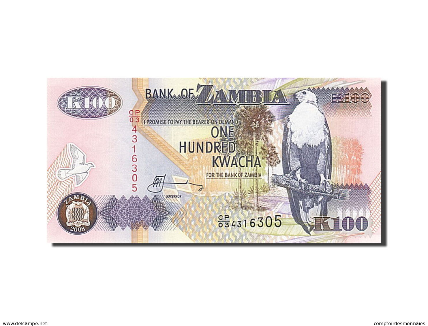Billet, Zambie, 100 Kwacha, 1992-1996, 2008, KM:38g, NEUF - Zambia