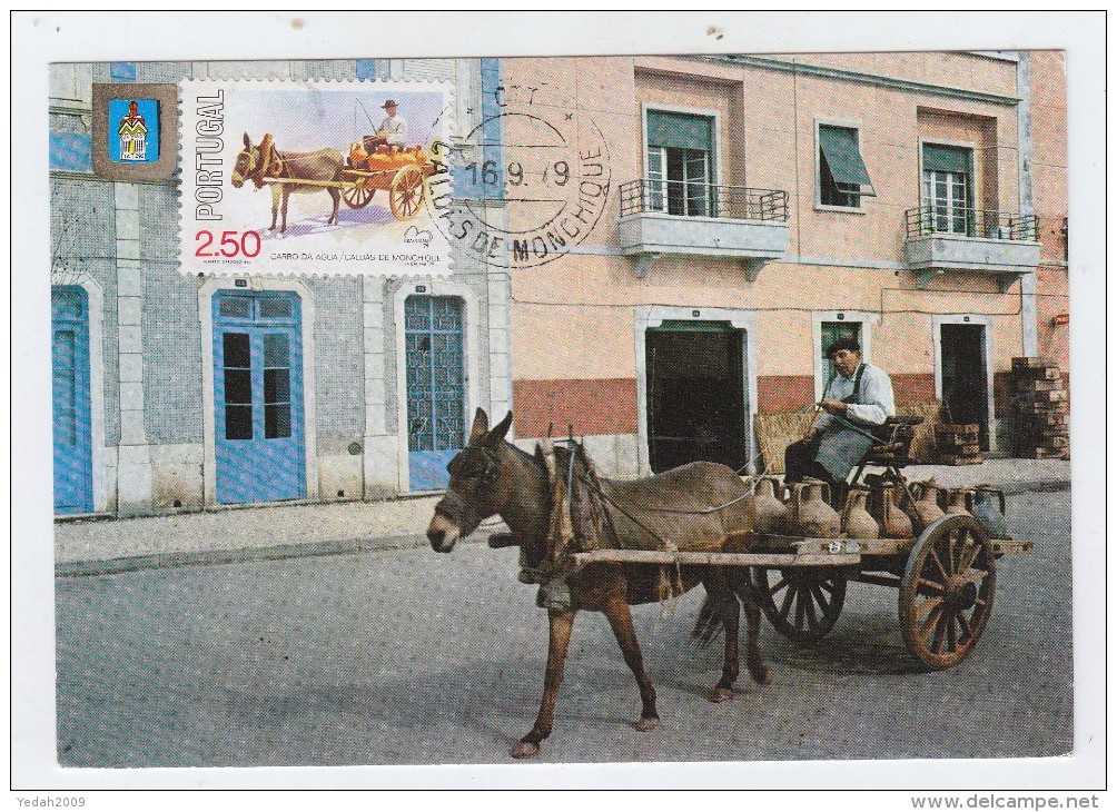 Portugal DONKEY MAXI CARD 1979 - Burros Y Asnos