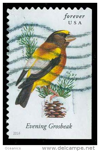 Etats-Unis / United States (Scott No.4887 - Oiseaux Américains / American Birds) (o) P2 - Gebraucht