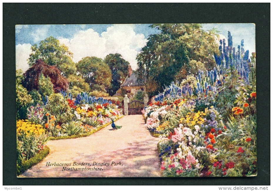 ENGLAND  -  Dingly Park  Herbaceous Borders  Unused Vintage Postcard - Northamptonshire