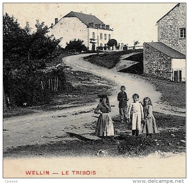 CPA Belgie Belgique - WELLIN - Le TRIBOIS ° O. V. S. Edit. Jules Remacle - Wellin