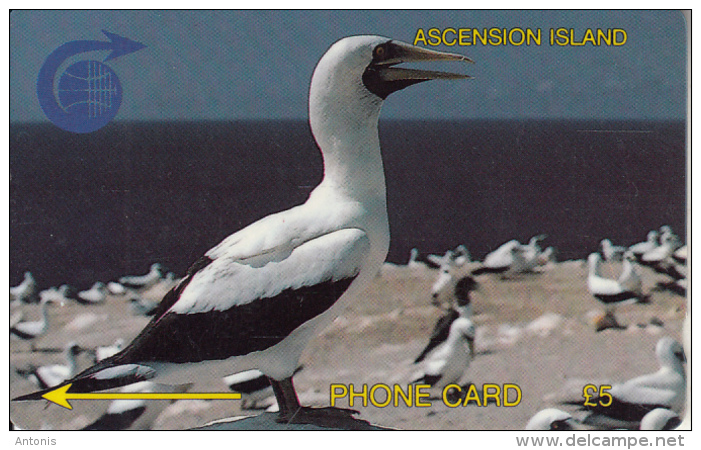 ASCENSION ISL.(GPT) - White Boody Bird, CN : 2CASA/B(normal 0), Tirage 5250, Used - Ascension (Ile De L')