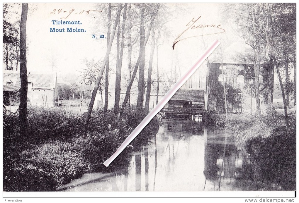 TIRLEMONT - Mout Molen - Superbe Carte Circulée Vers Namur En 1905 - Tienen