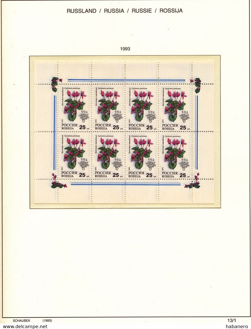 RUSSIA 1992-1996 COMPLETE MINT HIGH VALUE COLLECTION ON SCHAUBEK BRILLIANT PAGES **